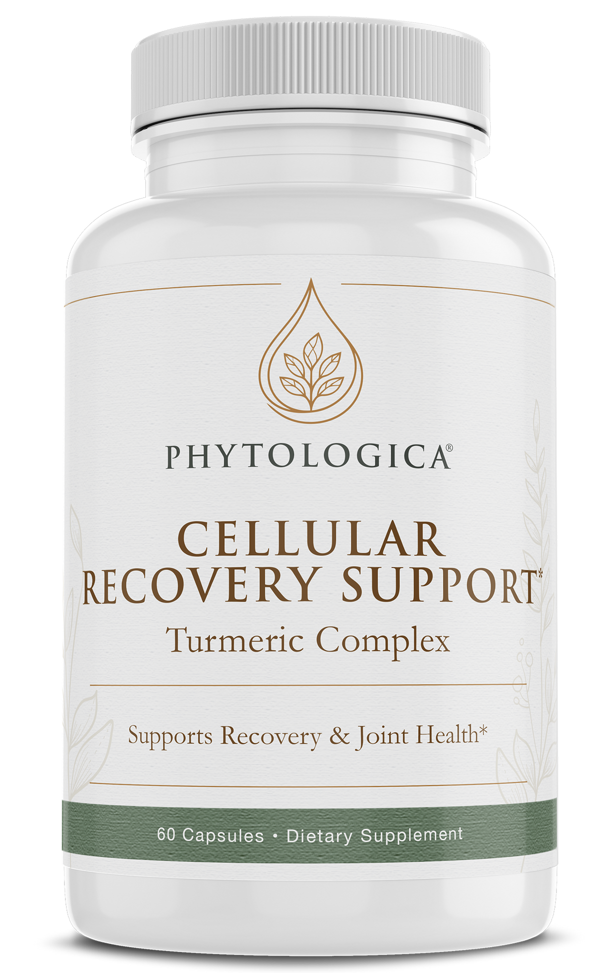 Cellular Recovery Support — Joint, Brain & Metabolic Health